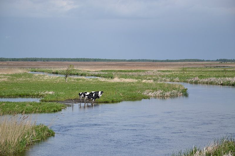 Biebrzański Park Narodowy
